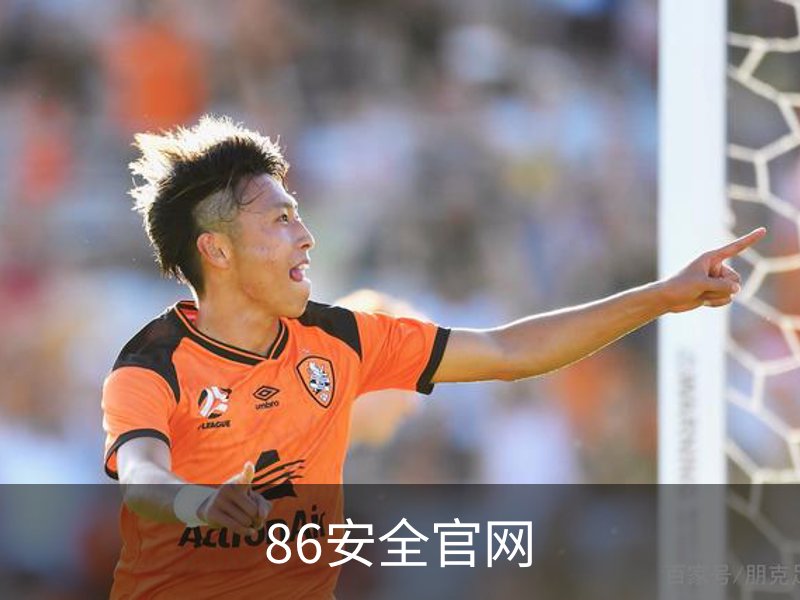 了解86安全官网